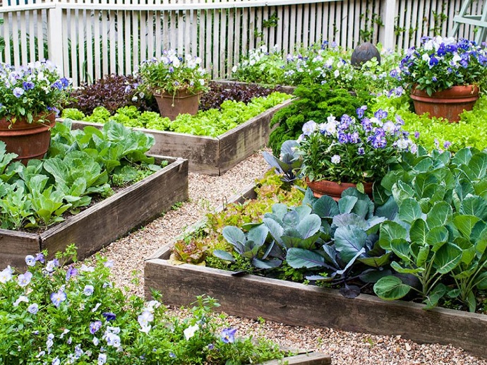 Small Space Gardening