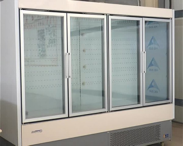 glass door fridge freezer combo