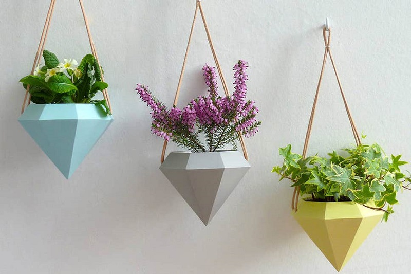 hanging-wall-plants