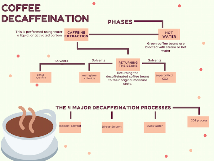 Purposeful Coffee Everything You Need To Know About Decaf Coffee