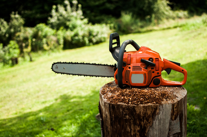 choose the right chainsaw