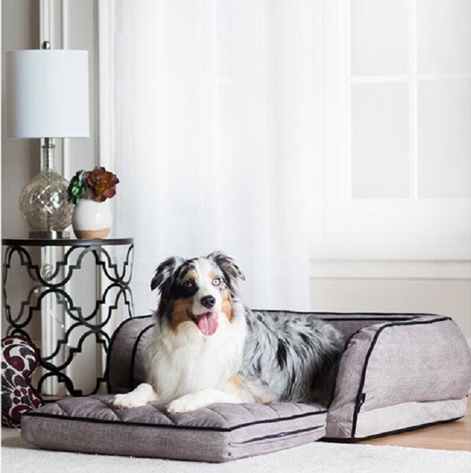 Buying a Good Dog Bed