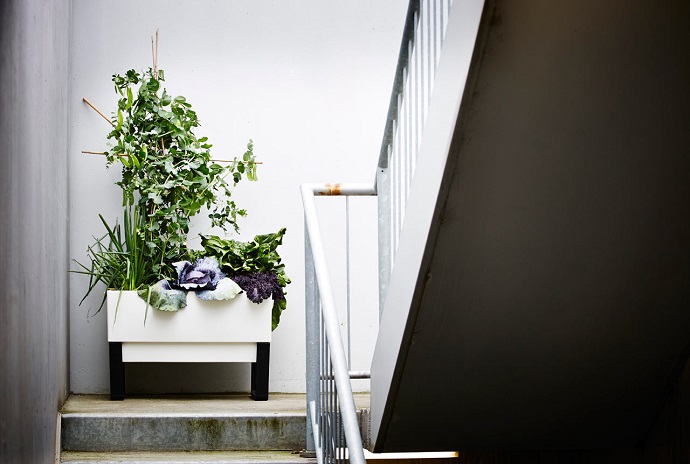 white planter on stairs