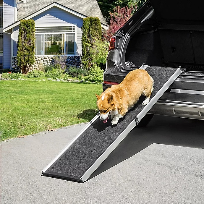 Dog climbing down by the ramp from the SUV