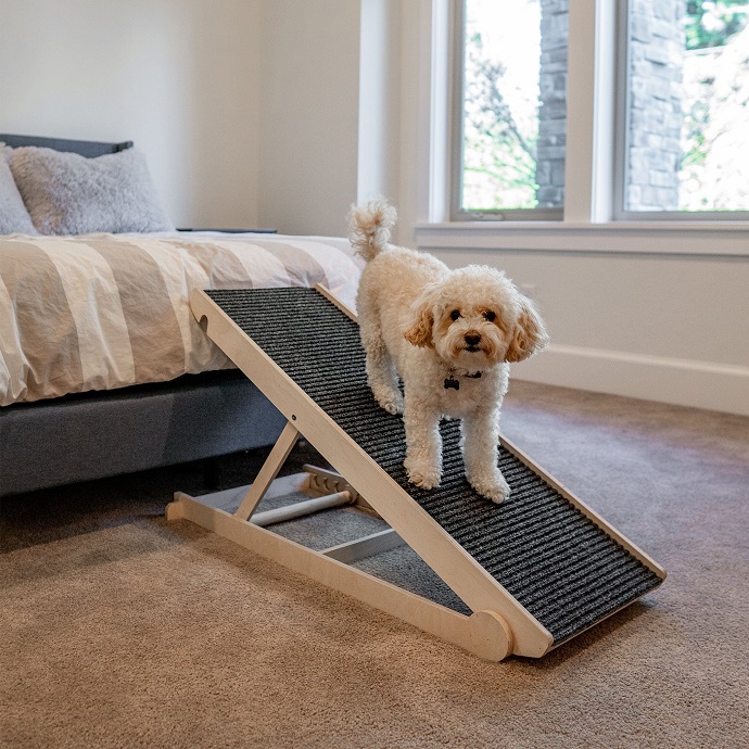Dog standing on pet ramp by the bed in the room