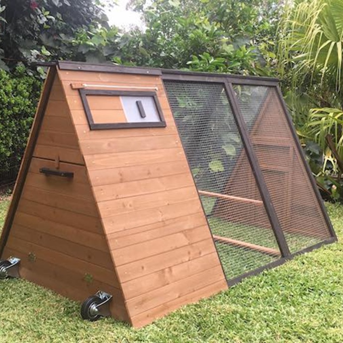 Holly Rabbit Enclosure