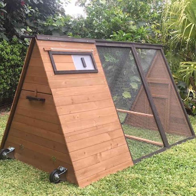 Holly Chicken Coop