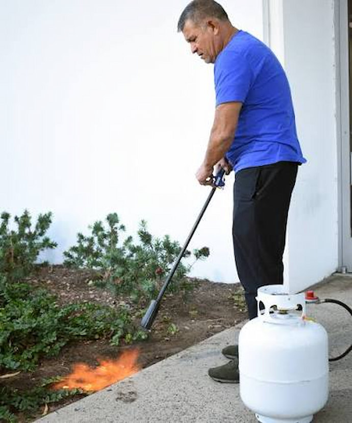 Your Personal Guide to Choosing a Weed Burner for Industrial and Commercial Applications